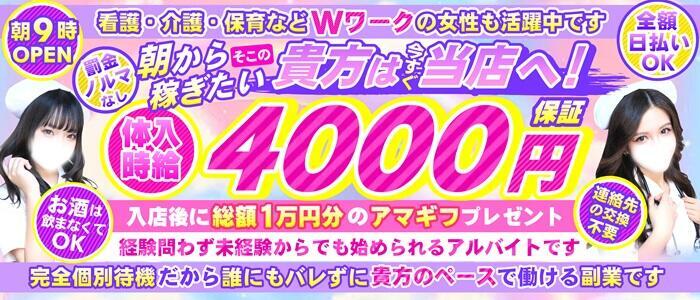 カルテデイズ新宿(高収入バイト)(新宿歌舞伎町/セクキャバ)