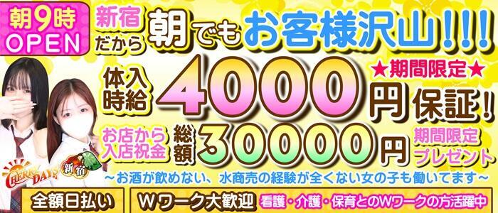 チェリーデイズ新宿店(高収入バイト)(新宿歌舞伎町/セクキャバ)