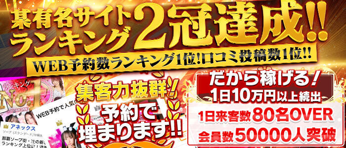 アネックスジャパン(高収入バイト)(辻/ソープランド)