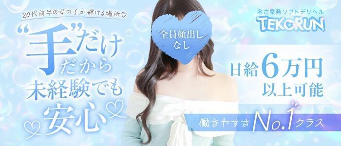 てこるん(高収入バイト)(名古屋発・近郊/オナクラ)