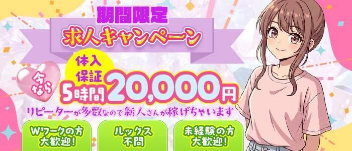 デリピン ハワイ(高収入バイト)(蒲田発・周辺/デリヘル)