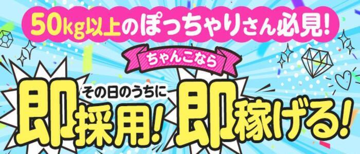 栃木小山ちゃんこ(高収入バイト)(小山発・近郊/デリヘル)