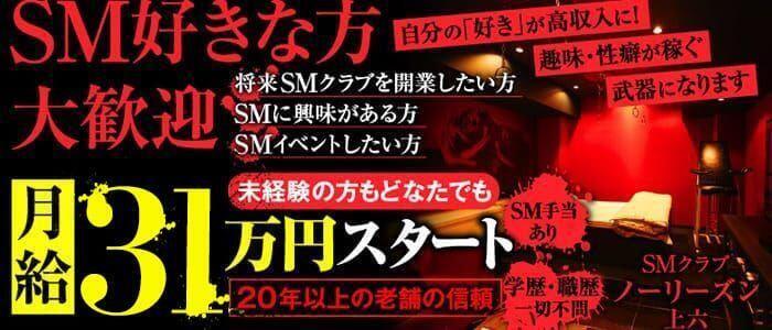 ノーリーズン 上六店(高収入バイト)(谷九発・近郊/SMクラブ（ホテヘル＆デリヘル）)