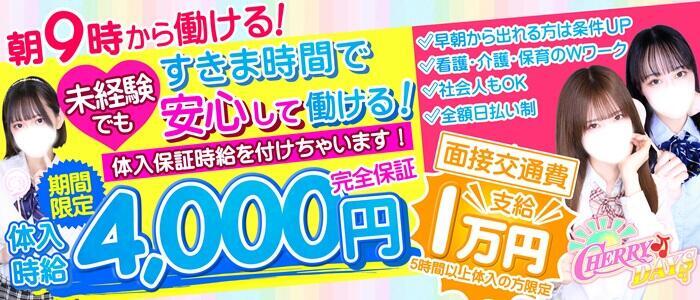 チェリーデイズ(高収入バイト)(池袋/吊革コスプレセクキャバ)