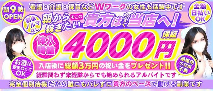 カルテデイズ新宿(高収入バイト)(新宿歌舞伎町/セクキャバ)