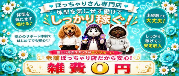 ちょい!ぽちゃロリ倶楽部Hip's馬橋店(高収入バイト)(馬橋発・近隣駅/ぽっちゃり系デリヘル)
