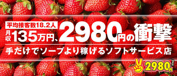 熊本2980円(高収入バイト)(中央街/店舗型手コキ専門店)