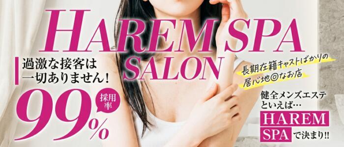 HAREM SPA(高収入バイト)(熊谷/【非風俗】メンズエステ)