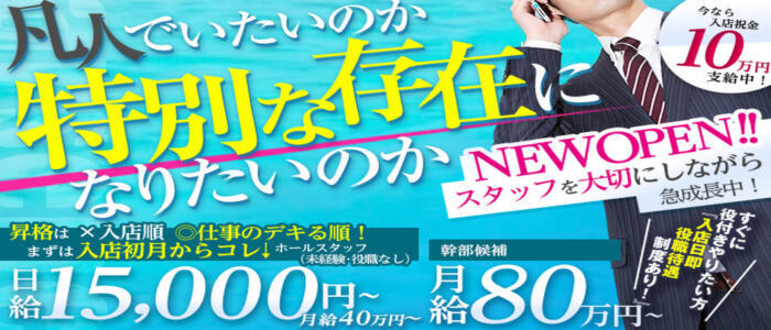 アルセーヌ(高収入バイト)(新宿歌舞伎町/セクキャバ)