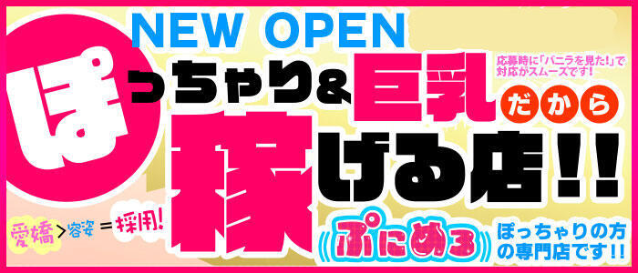 ぽっちゃり巨乳素人専門店　ぷにめろ立川店(高収入バイト)(立川発・周辺/ぽっちゃり系デリヘル)