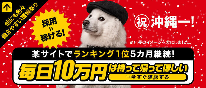 アネックスジャパン(高収入バイト)(辻/ソープランド)