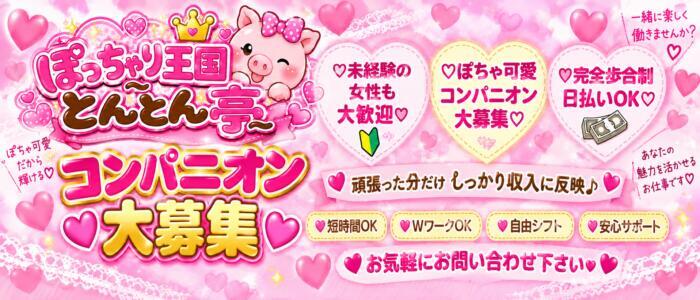 ぽっちゃり王国とんとん亭(高収入バイト)(小田原発・近郊/ぽっちゃり・巨乳デリヘル)