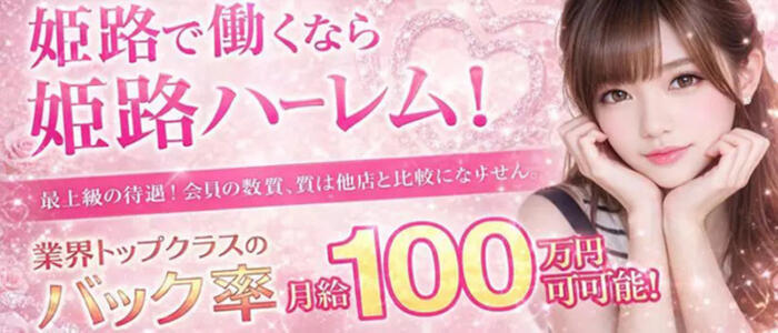 姫路ハーレム(高収入バイト)(姫路発・近郊/デリヘル)