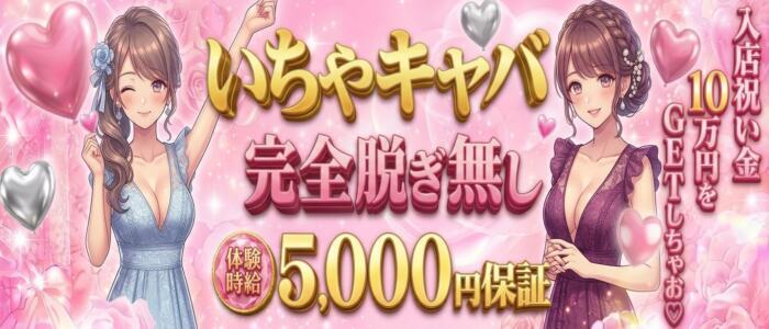 Kitty(キティー)(高収入バイト)(祇園/セクキャバ)