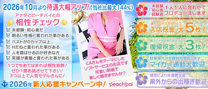 Peachpai(高収入バイト)(辻/ファッションヘルス)
