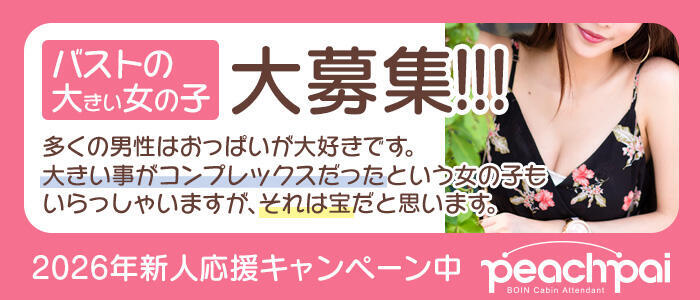 特徴 - Peachpai(高収入バイト)（辻/ファッションヘルス）