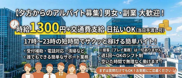 ミセスの手ほどき大久保・新大久保店(高収入バイト)(新大久保発・周辺/オナクラ)