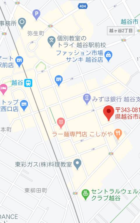 マップ|世界にひとつだけの花(ピンサロ/越谷)
