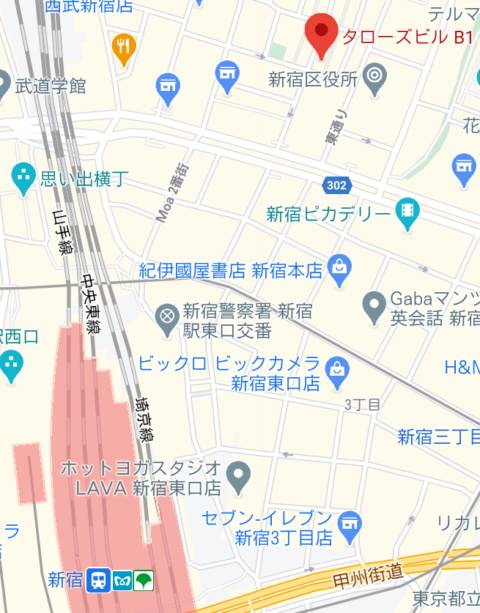 マップ｜濃厚即19妻　新宿店（人妻ホテヘル/新宿歌舞伎町）