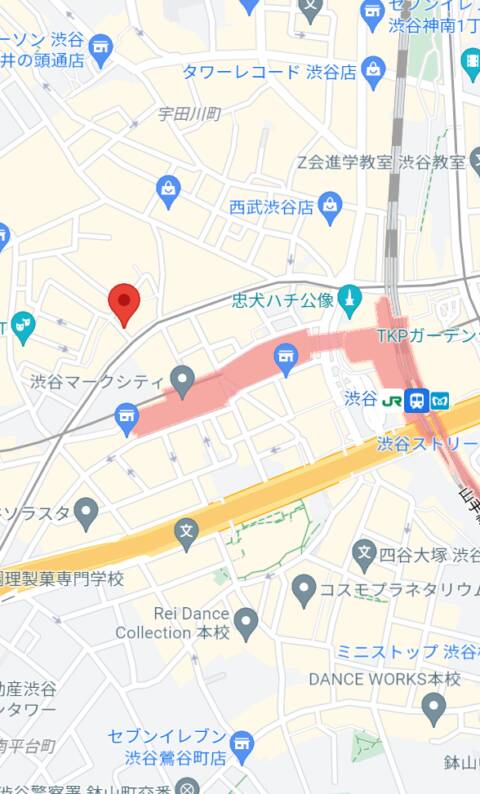 マップ（受付所）｜渋谷わんわん（ホテヘル＆デリヘル/渋谷発・近郊）
