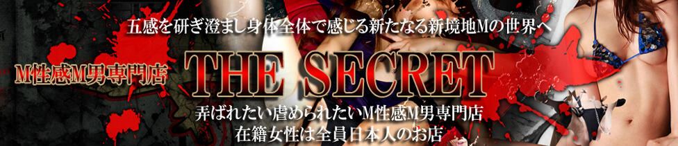 THE SECRET(木更津発・近郊/デリヘル)