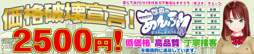 世界のあんぷり亭 町田店(町田発・周辺/激安オナクラ)