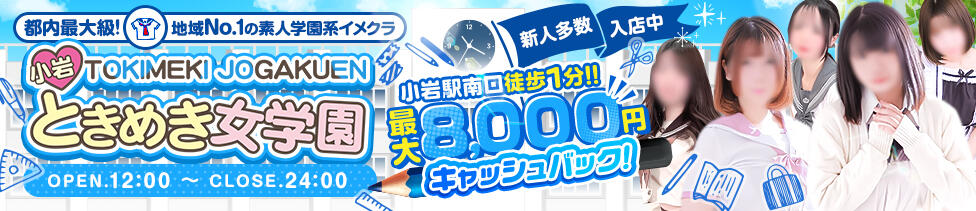 小岩ときめき女学園(小岩/学園系ホテヘル)