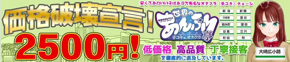 世界のあんぷり亭 大崎広小路店(大崎広小路/オナクラ)