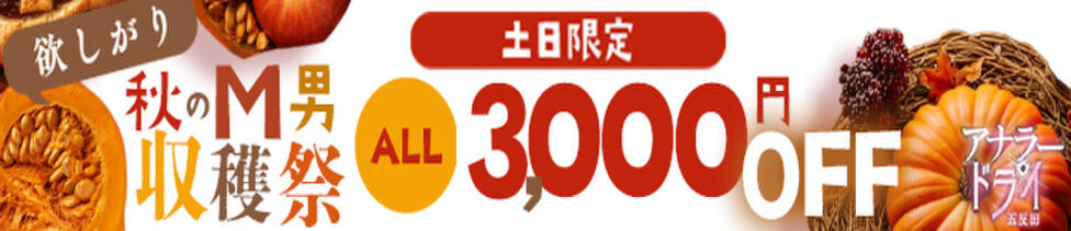 アナラードライ五反田店(五反田発・近郊/M性感)