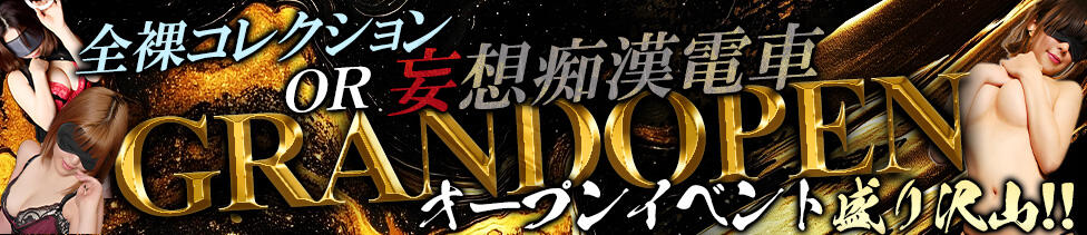 全裸コレクション or 妄想痴漢電車(五反田/ホテヘル)