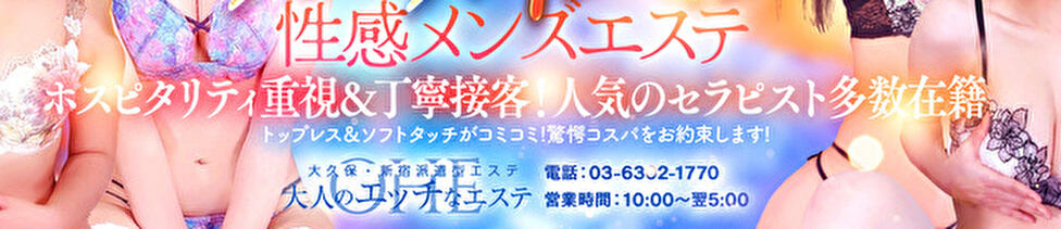 大人のエッチなエステ(大久保発・23区/派遣型エステ)