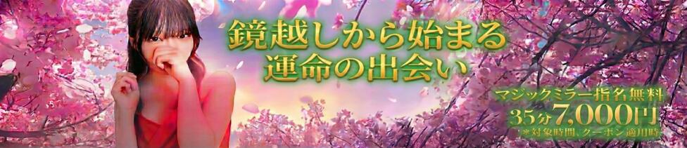 新宿プチドール(新宿歌舞伎町/ファッションヘルス)