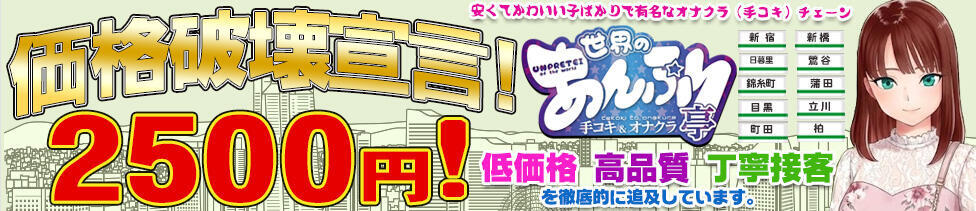 世界のあんぷり亭 大崎広小路店(五反田発・周辺/オナクラ)