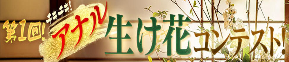 アナラードライ五反田店(五反田発・近郊/M性感)