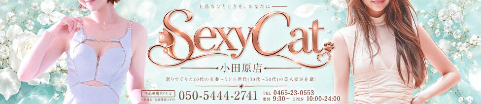 セクシーキャット 小田原店(小田原/ファッションヘルス)