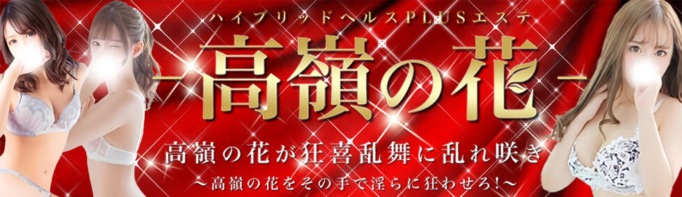 ハイブリッドヘルスPLUSエステ高嶺の花(大宮発・近郊/風俗エステ)