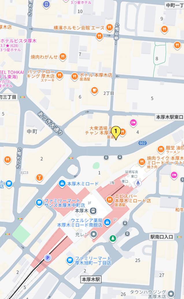 小田急本厚木駅｜厚木人妻花壇（人妻デリヘル/厚木発・近郊）