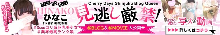 Cherry Days Shinjuku Blog Queen【ひなこ】ちゃん♪ チェリーデイズ新宿店（新宿・歌舞伎町/おっパブ・セクキャバ）