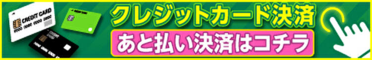 オンラインでのクレジットカード決済 官能エレナ（立川/デリヘル）