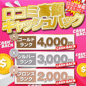 口コミ高額キャッシュバック BBW（ビッグビューティフルウーマン）（新大久保/デリヘル）