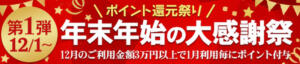 ★ポイント還元祭り　年末年始の大感謝祭★　第1弾 千葉プラチナ（栄町(千葉市)/デリヘル）