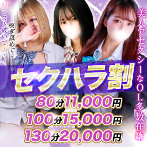 【セクハラ割】税込10,000～♪ ドMグループ デリヘル(新潟)（古町/デリヘル）