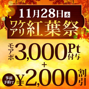 11/28(木)ワケアリ×紅葉祭 新宿人妻城（新宿・歌舞伎町/デリヘル）