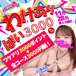 わけありぱい★3,000ダブル！ 巨乳専科パンチラボイン横浜（新横浜/デリヘル）