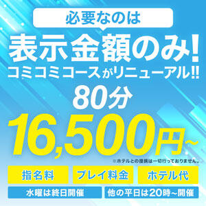 コミコミ　必要なのは表示金額のみ！ 丸妻 横浜本店（関内/デリヘル）