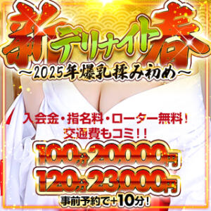 22時以降★100分20000円★新春デリナイト BBW（ビッグビューティフルウーマン）（新大久保/デリヘル）