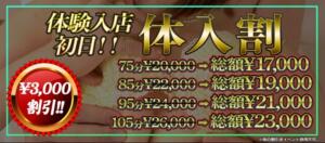 ☆体験入店初日限定割引☆ 横浜熟女MAX（曙町/ヘルス）