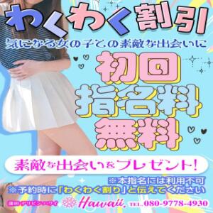 わくわく割引 デリピン　ハワイ（蒲田/デリヘル）