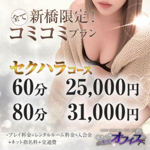新橋限定✨全てコミコミプラン セクハラ東京オフィス（赤坂/デリヘル）