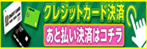 オンラインでのクレジットカード決済 官能エレナ（立川/デリヘル）